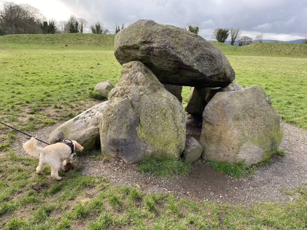 Photograph of the Giant's Ring henge