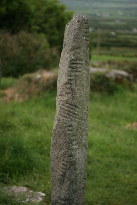 Photograph of an Ogham Stone standing upright taken by Pam Corey