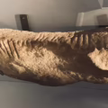 Ogham Stone on display at the Ulster Museum