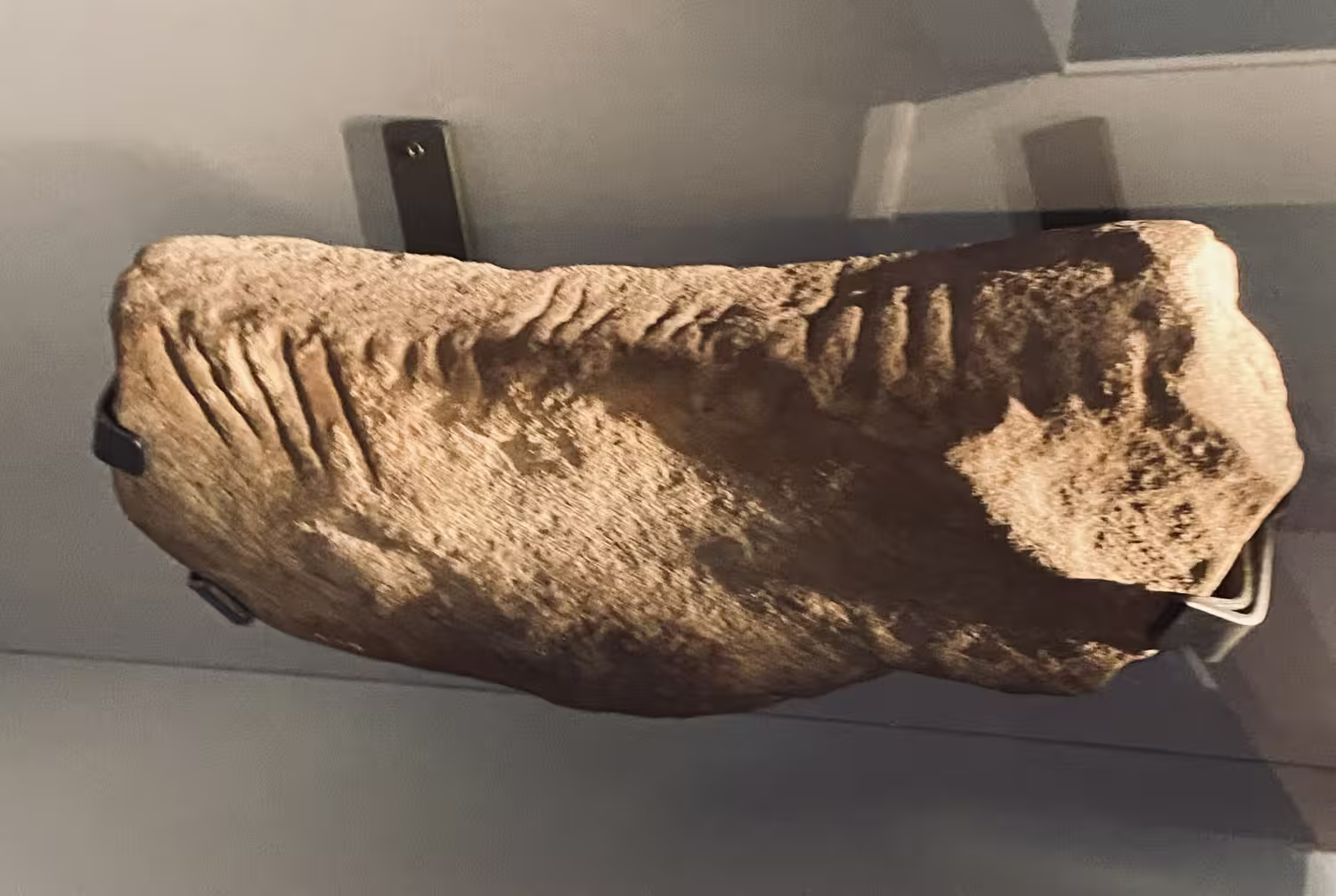 Ogham Stone on display at the Ulster Museum