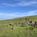 Divis Mountain’s Bronze Age Homestead