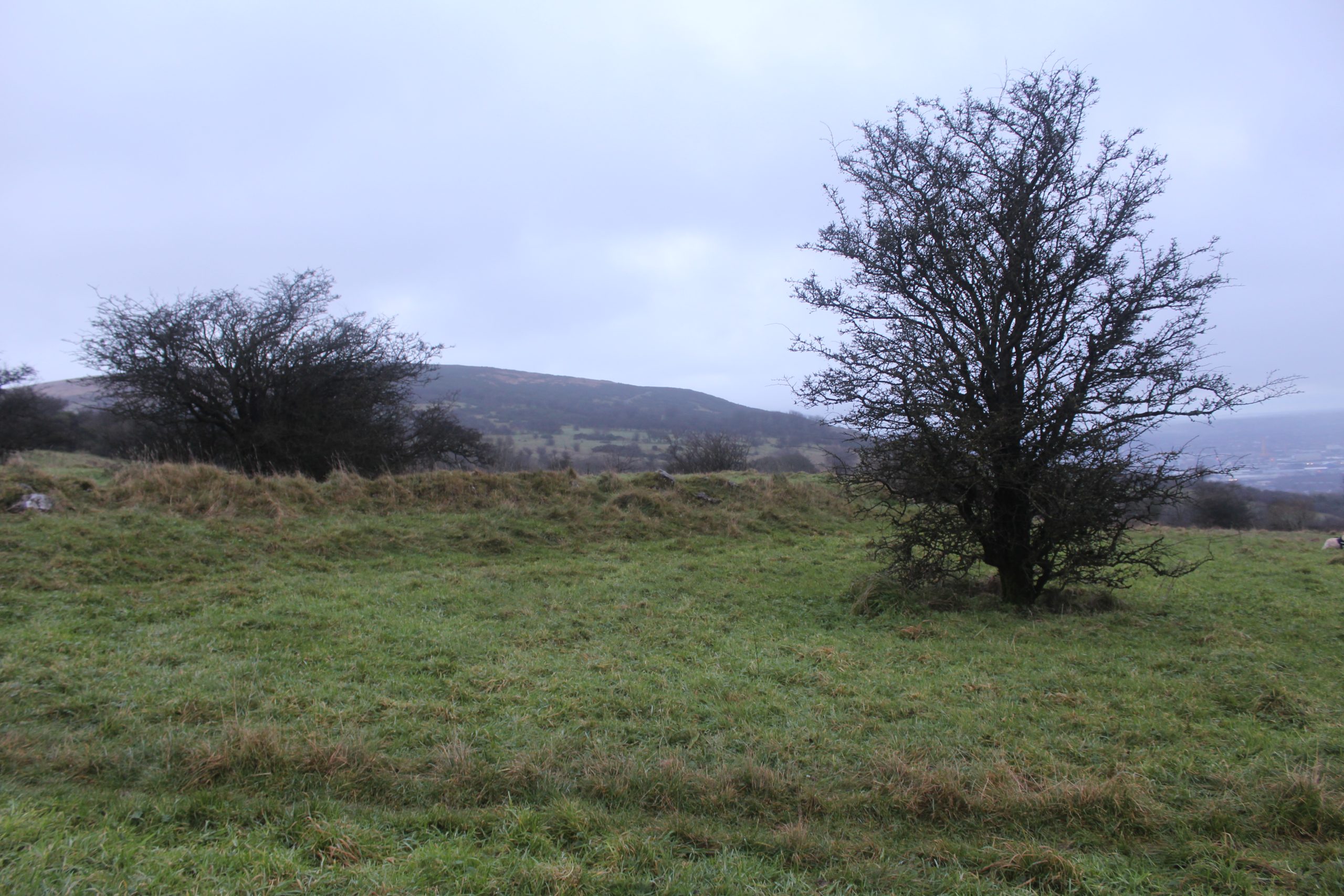 Ballyaghagan Cashel: Belfast Hills Stone Ringfort Guide