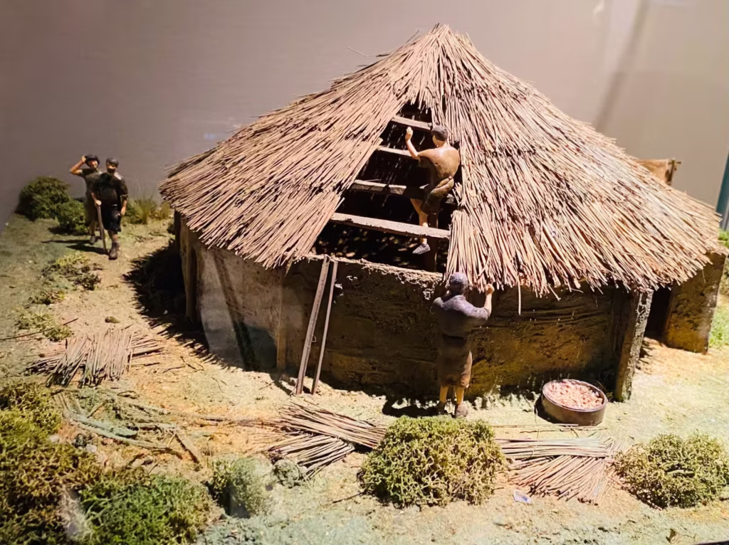 Photograph by Daniel Kirkpatrick of a reconstruction model of the Bronze Age house at Meadowlands in County Down, as on display at the Ulster Museum