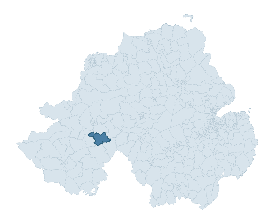 Regional context map showing NEWTOWNSAVILLE ward within Fermanagh and Omagh